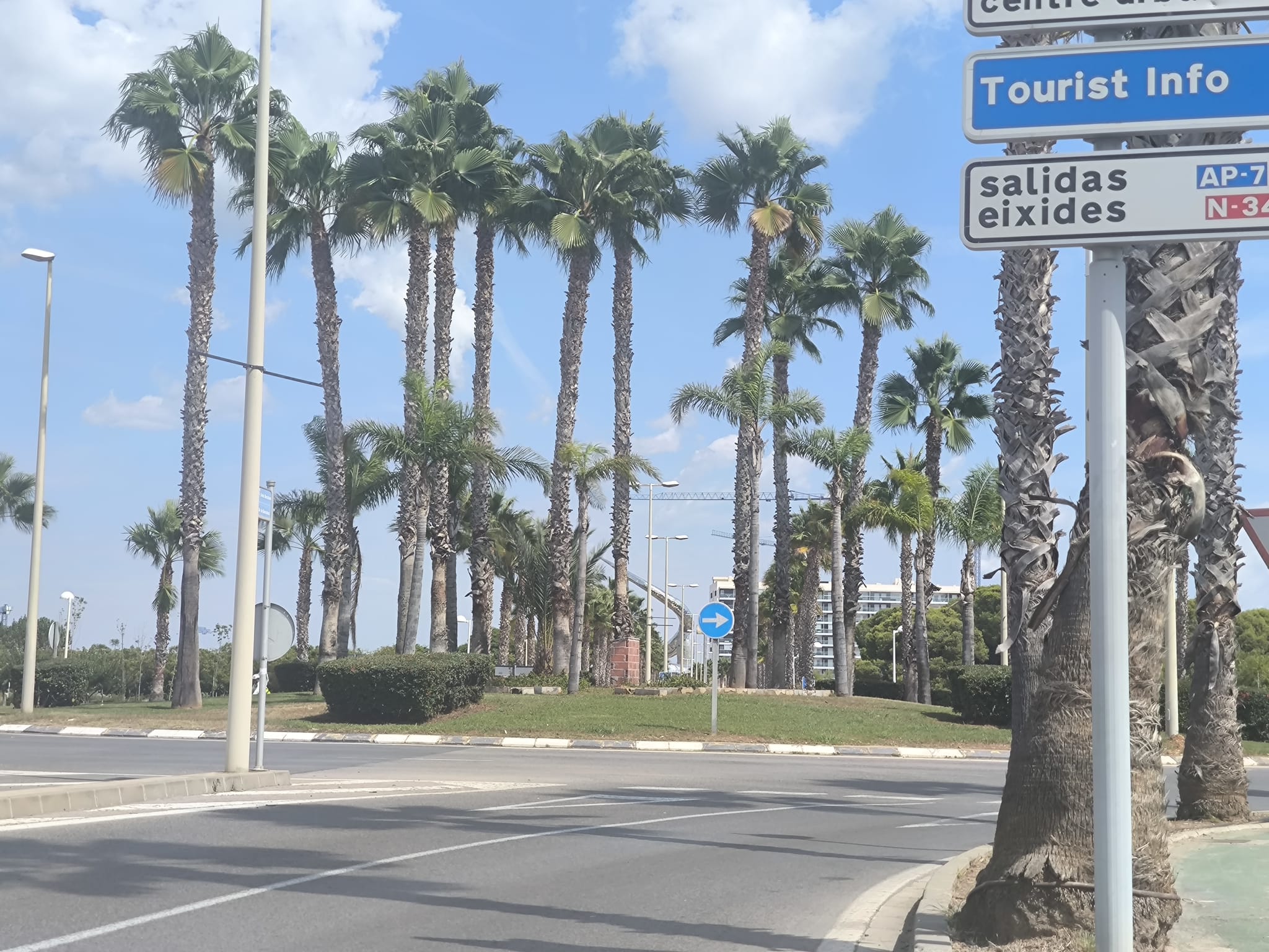 Rotonda de las palmeras, referencia para llegar al Asador Oasis